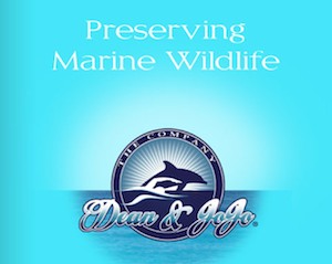 Marine Wildlife